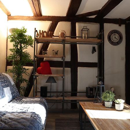 Sous Les Toits Du Zinc - Climatise Colmar Exterior foto