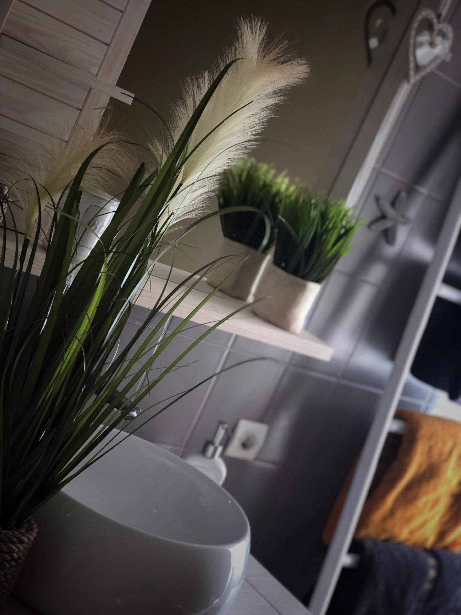 Sous Les Toits Du Zinc - Climatise Colmar Exterior foto