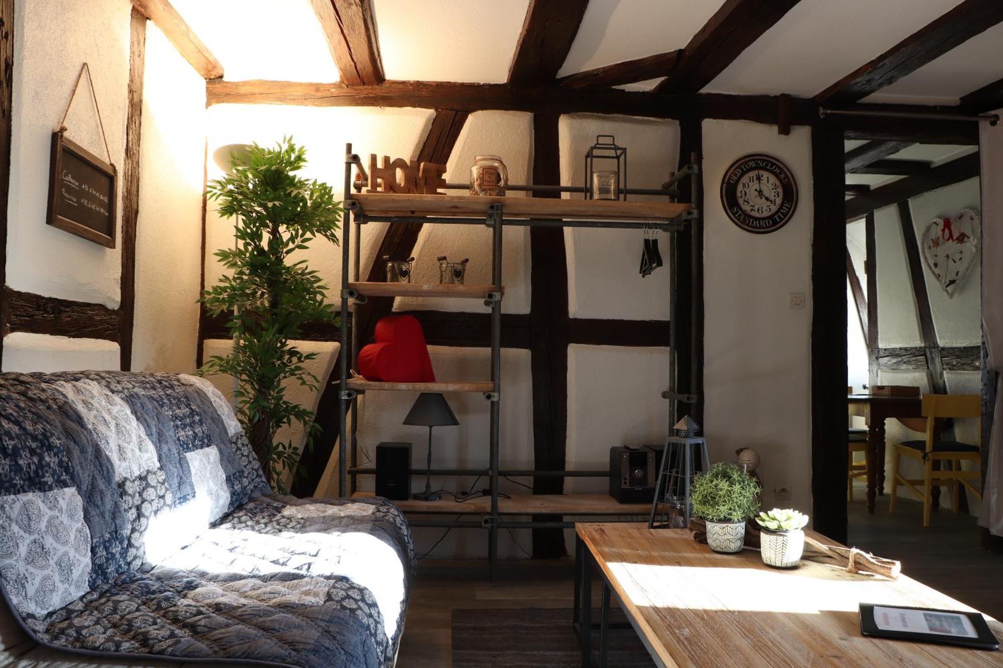 Sous Les Toits Du Zinc - Climatise Colmar Exterior foto