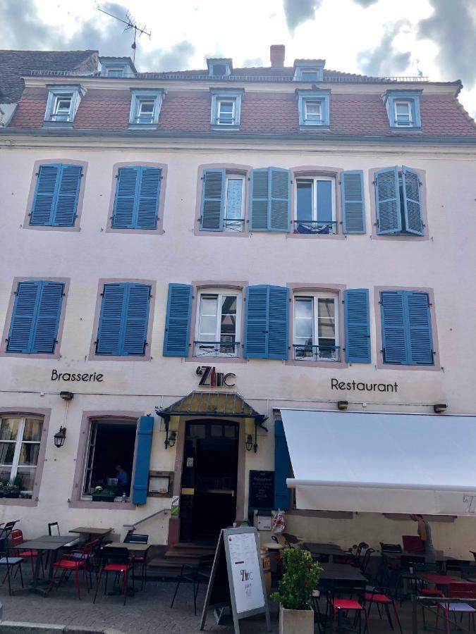 Sous Les Toits Du Zinc - Climatise Colmar Exterior foto